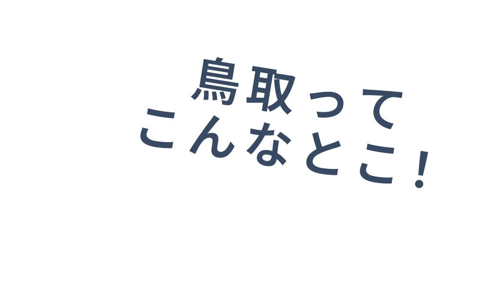 鳥取ってこんなとこ